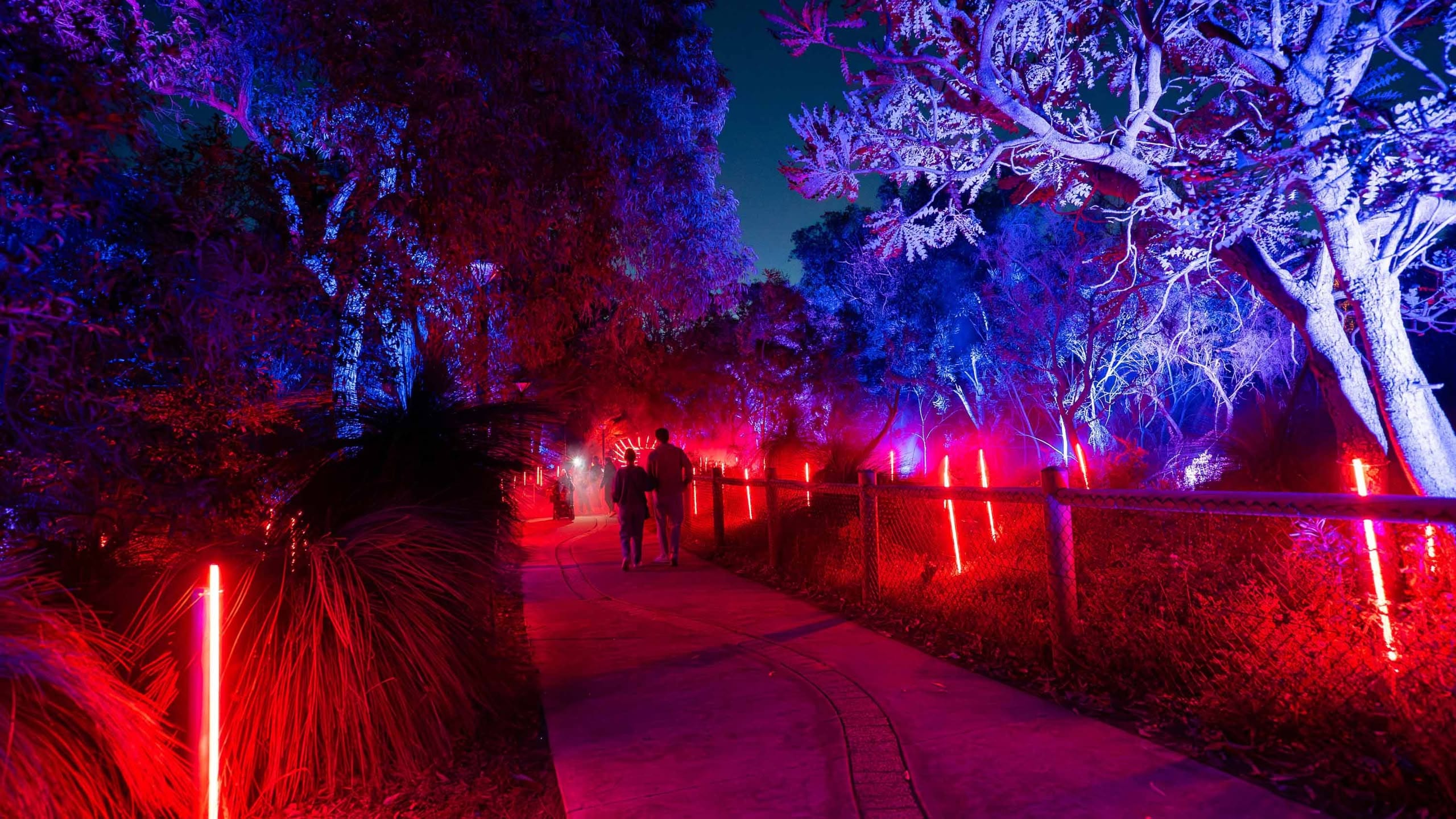 Colourful projections lighting up the parkland