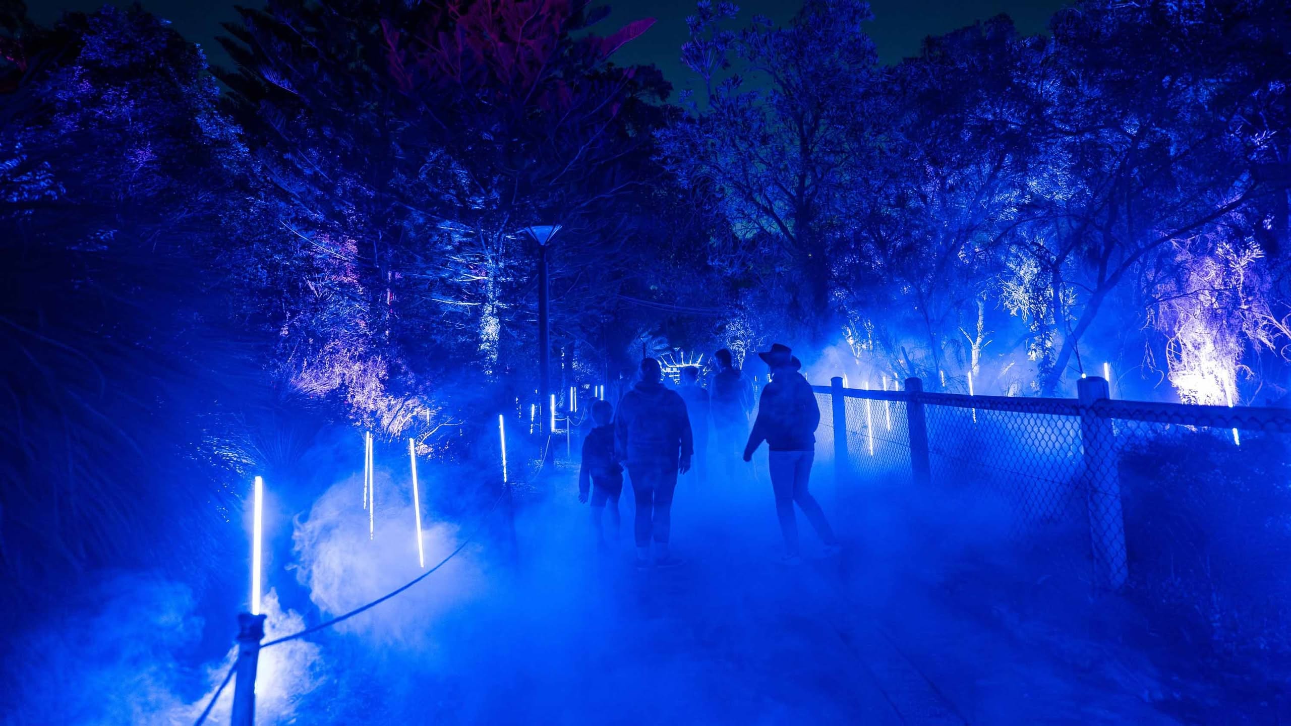 Guests walking beneath a canopy of coloured light